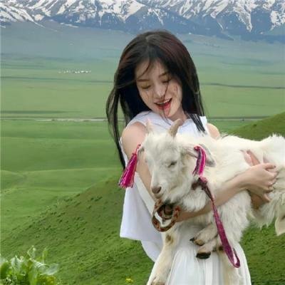 六十一号的恐怖