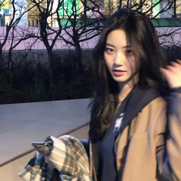 法律上的演员